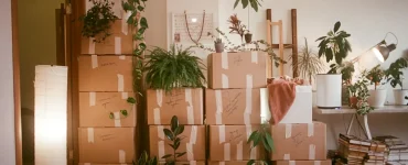 todoliste pour demenager